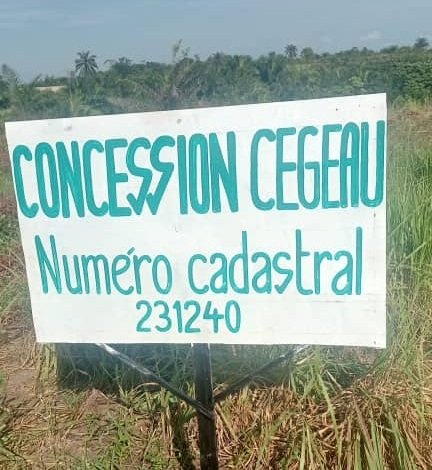 Implantation d’une Usine de Fabrication de Briques à N’Sele : CEGEAU SARL Accélère le Développement Local